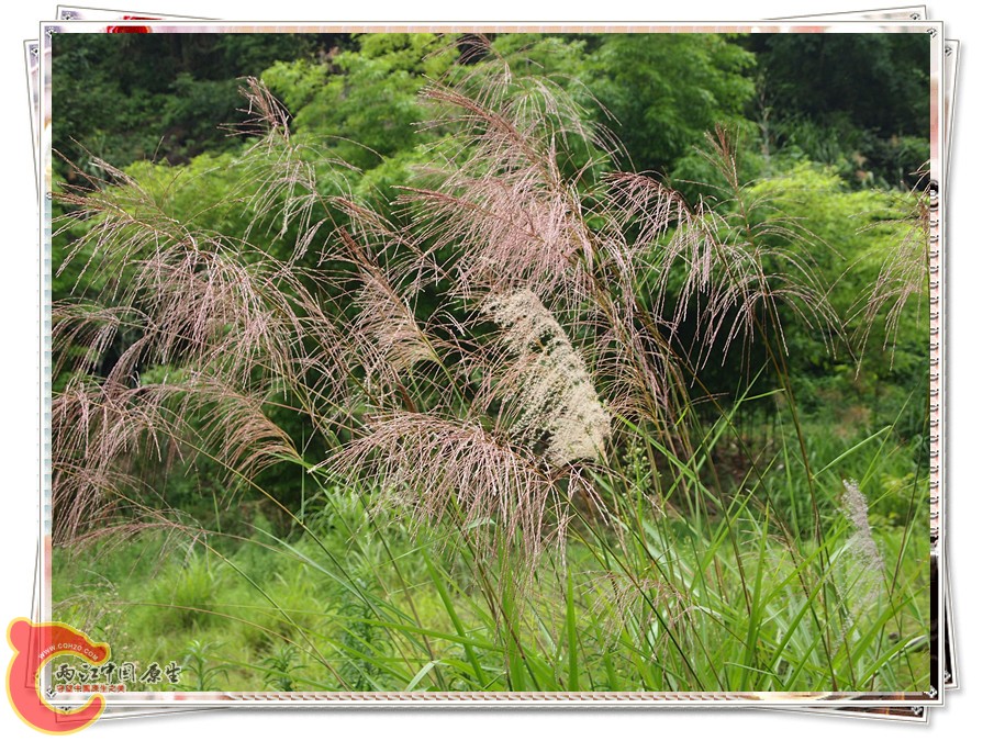 P6041880_副本.jpg