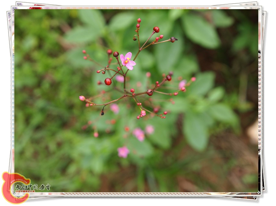 P6051961_副本.jpg