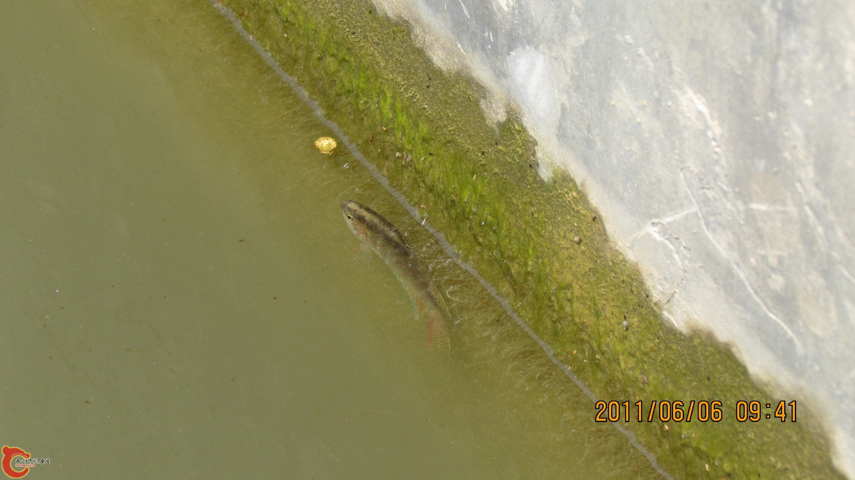 照片 091_调整大小.jpg