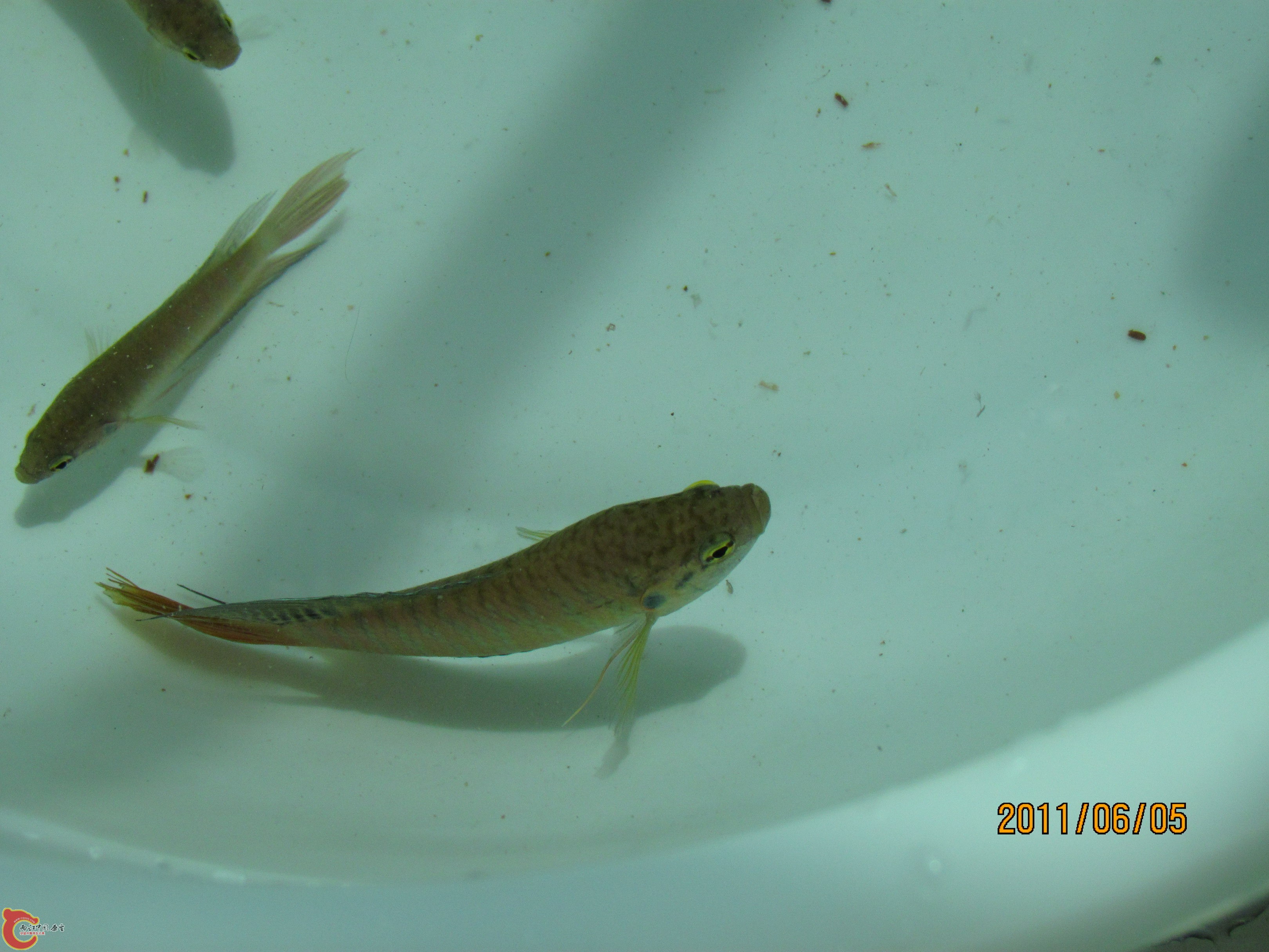 照片 061_调整大小.jpg