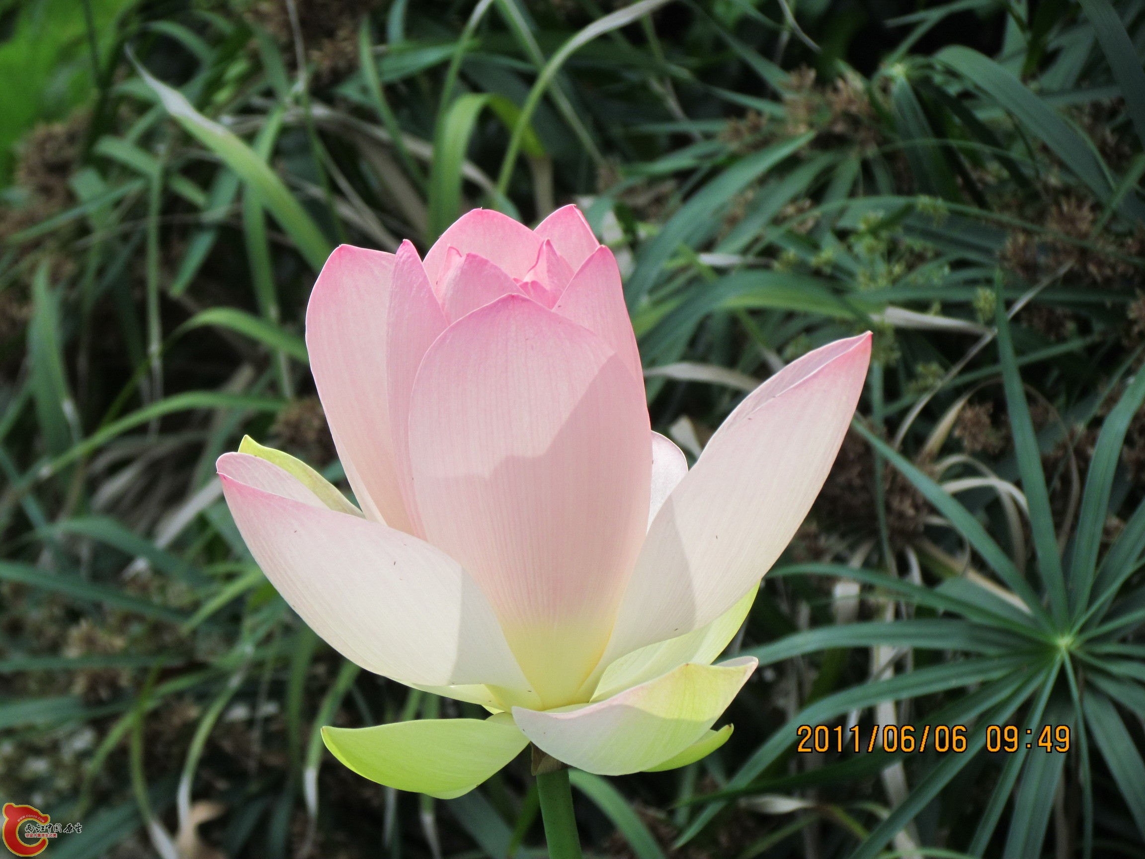 照片 108_调整大小.jpg