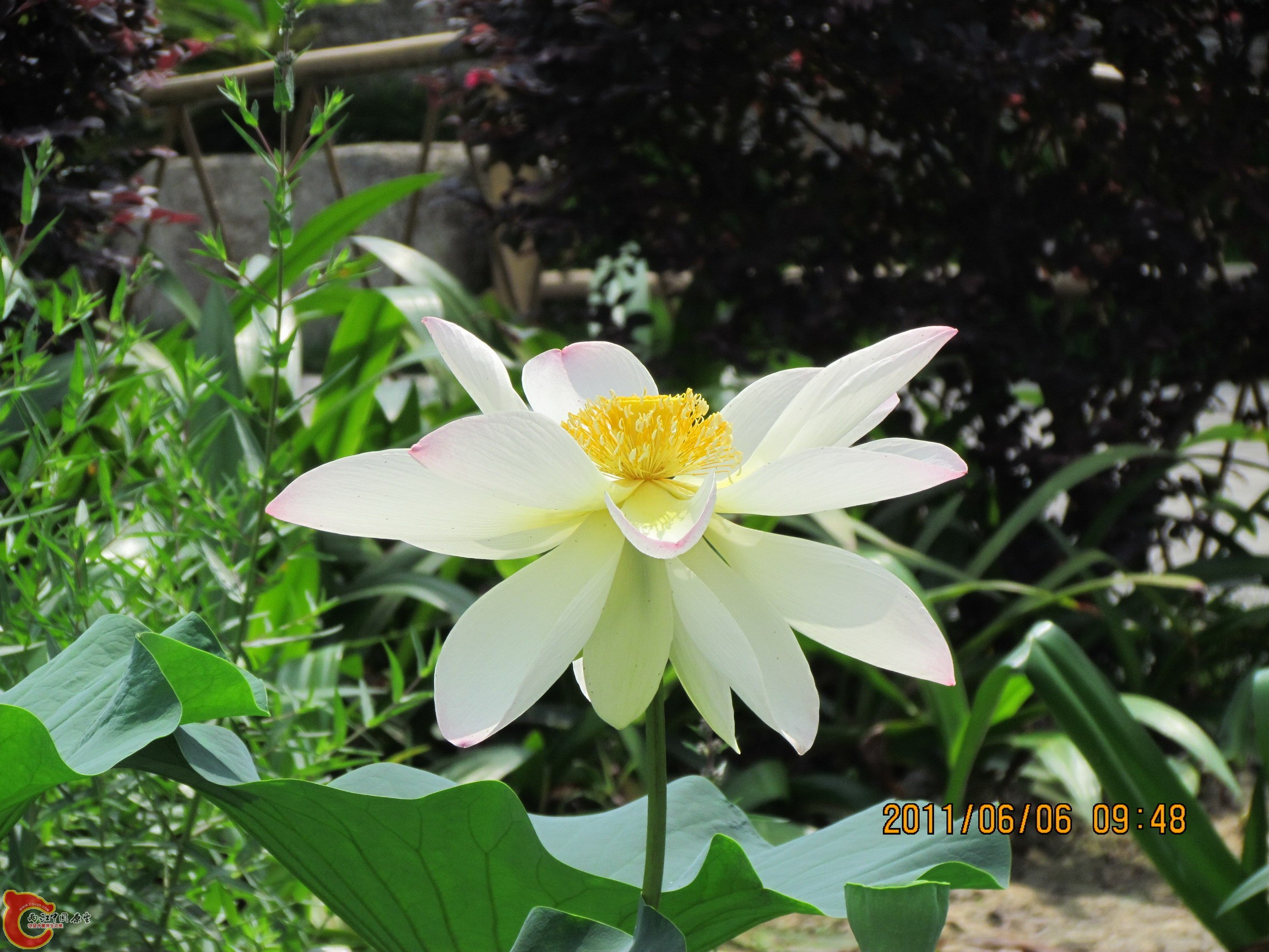 照片 103_调整大小.jpg