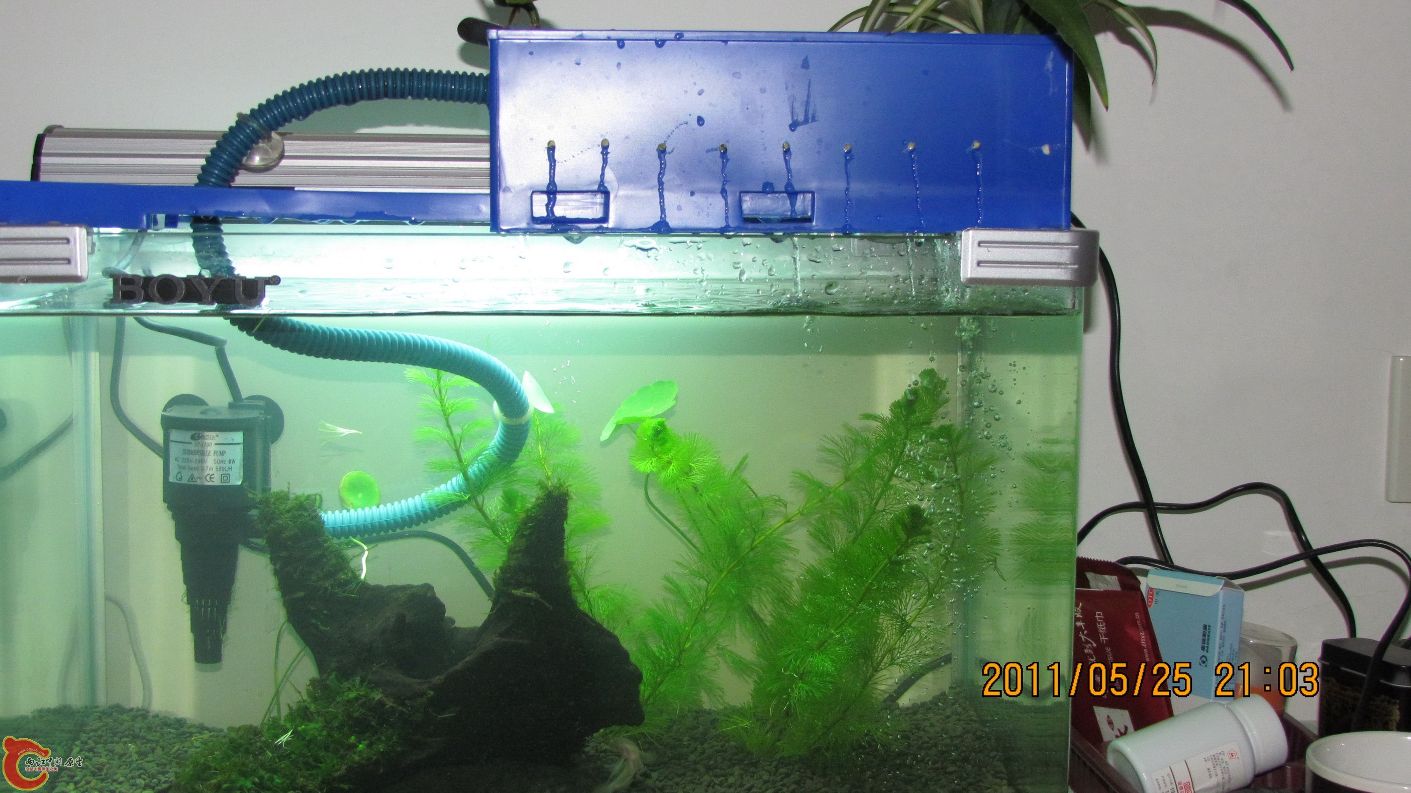 照片 009_调整大小.jpg