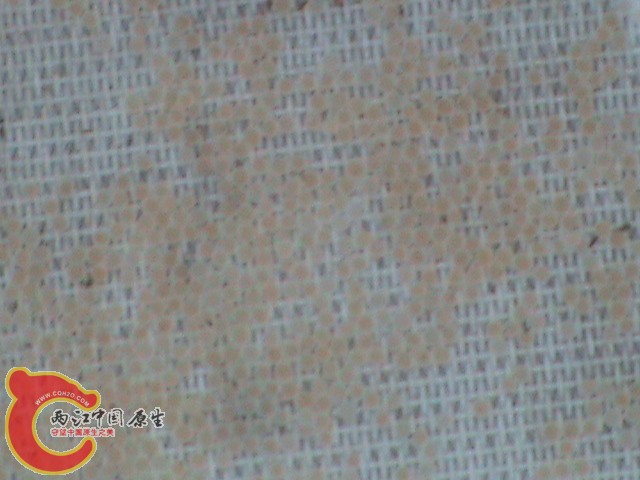 DSC01365.JPG