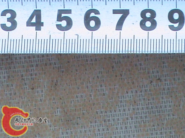 DSC01366.JPG