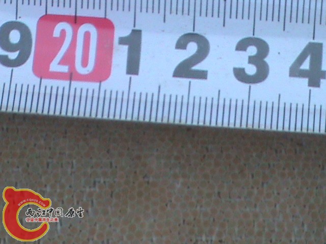 DSC01367.JPG