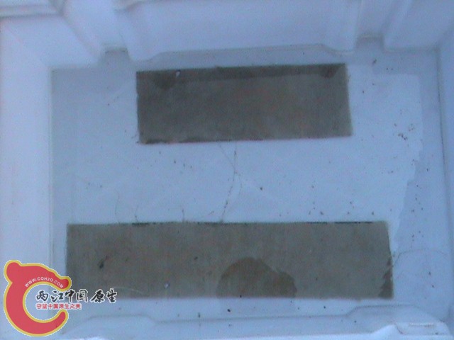 DSC01368.JPG