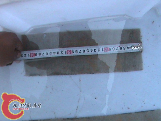 DSC01369.JPG