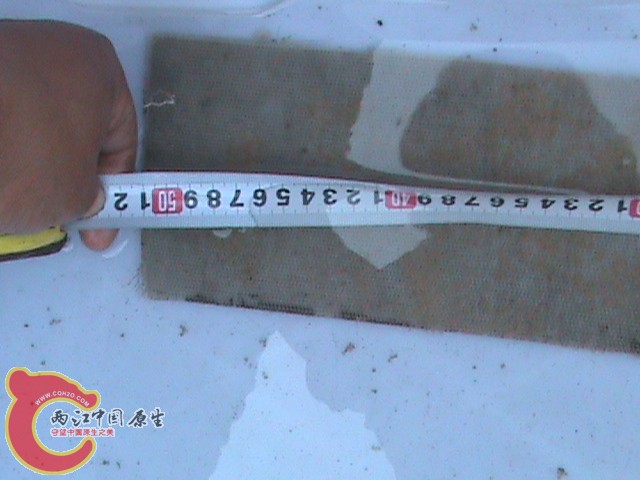 DSC01370.JPG