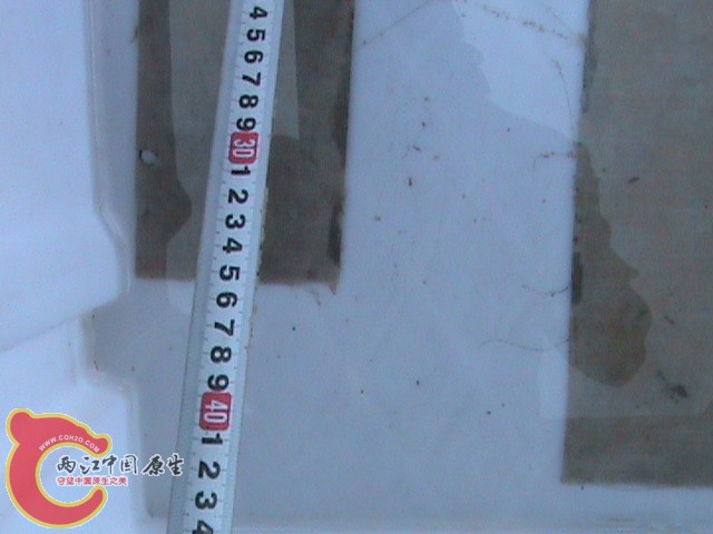 DSC01371.JPG