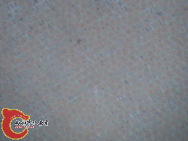 DSC01374.JPG