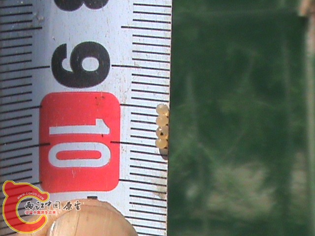 2011.06.06