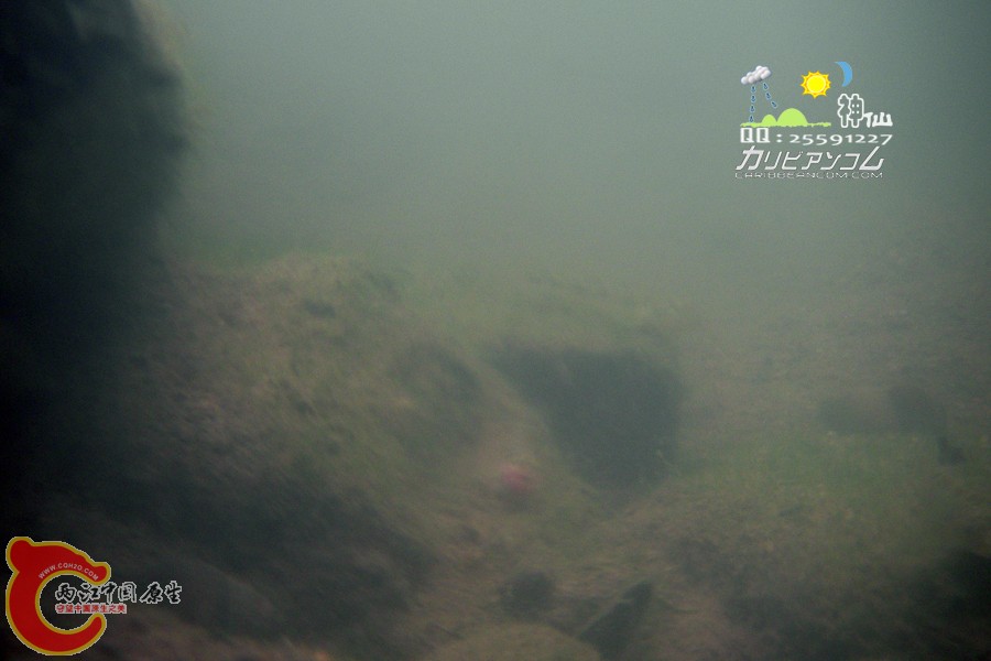 片片机还是差点，初试水下摄影