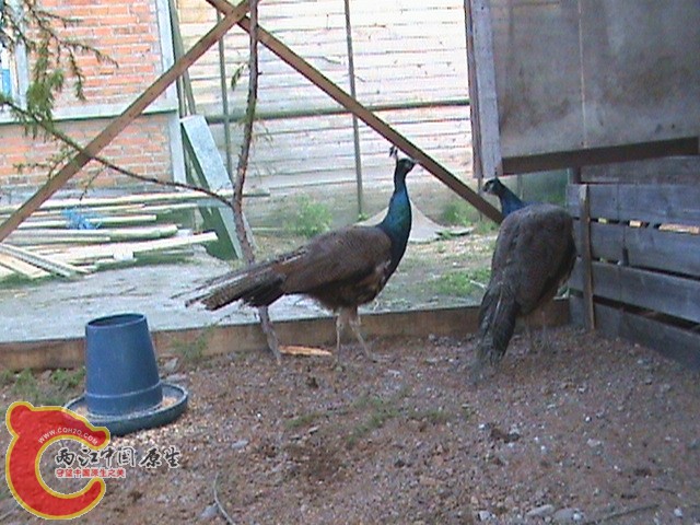 DSC01425.JPG