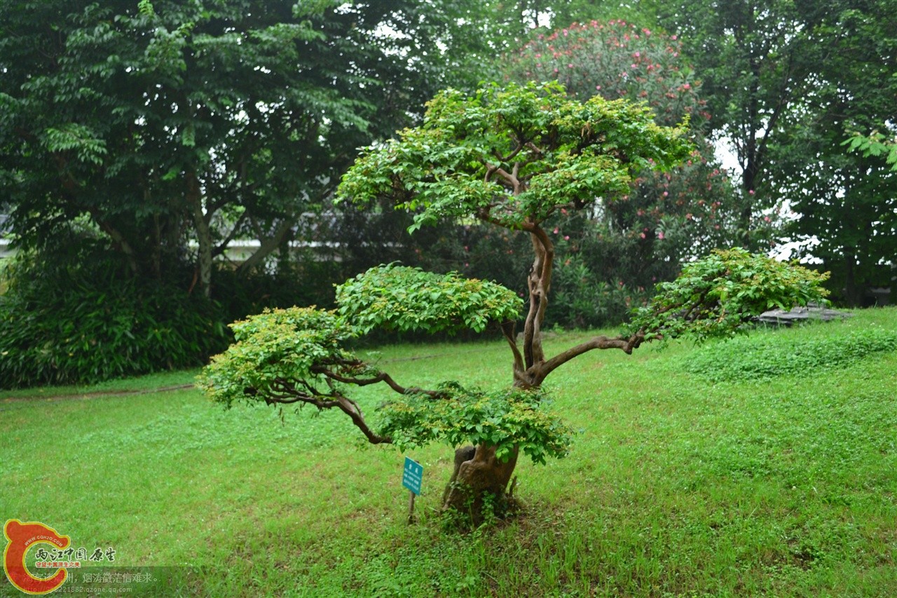 201106062899.jpg