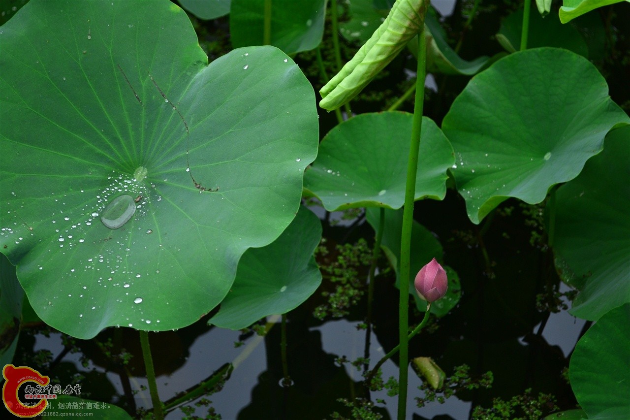 201106062901.jpg