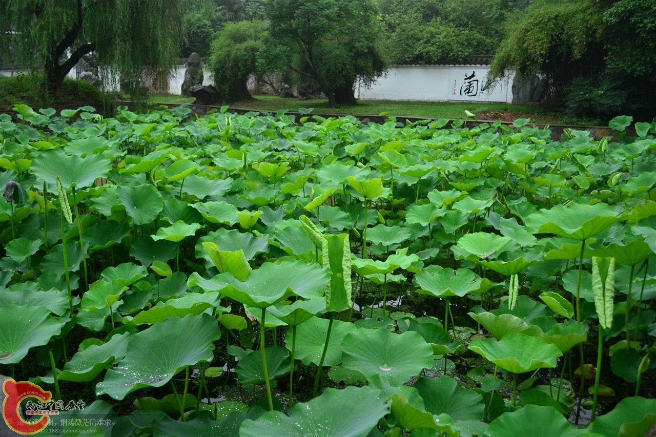201106062902.jpg