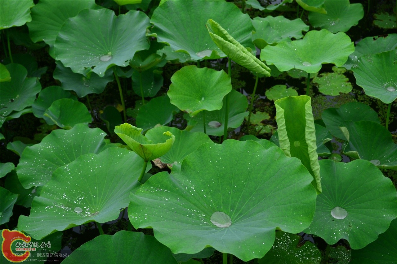 201106062903.jpg