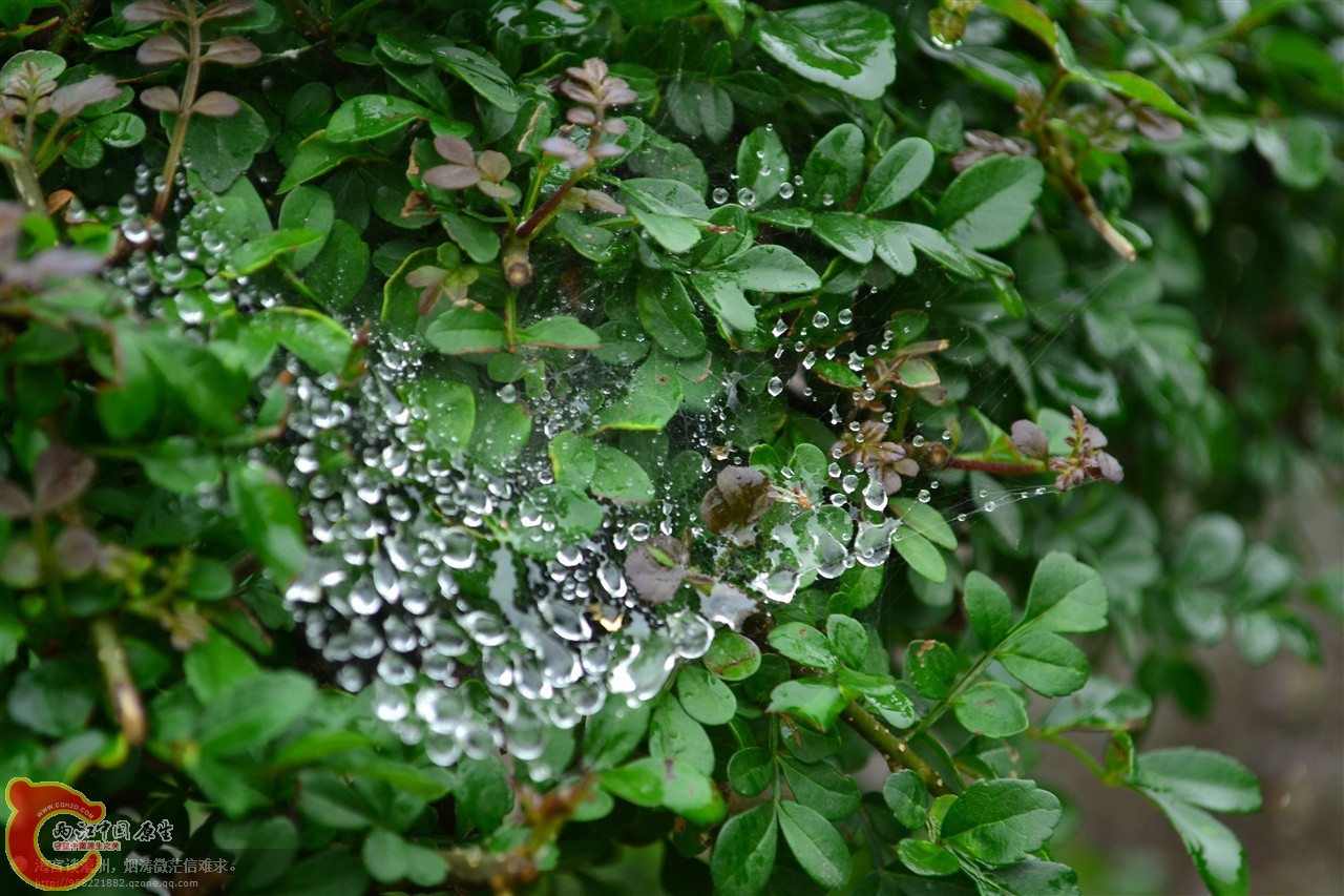 201106062907.jpg