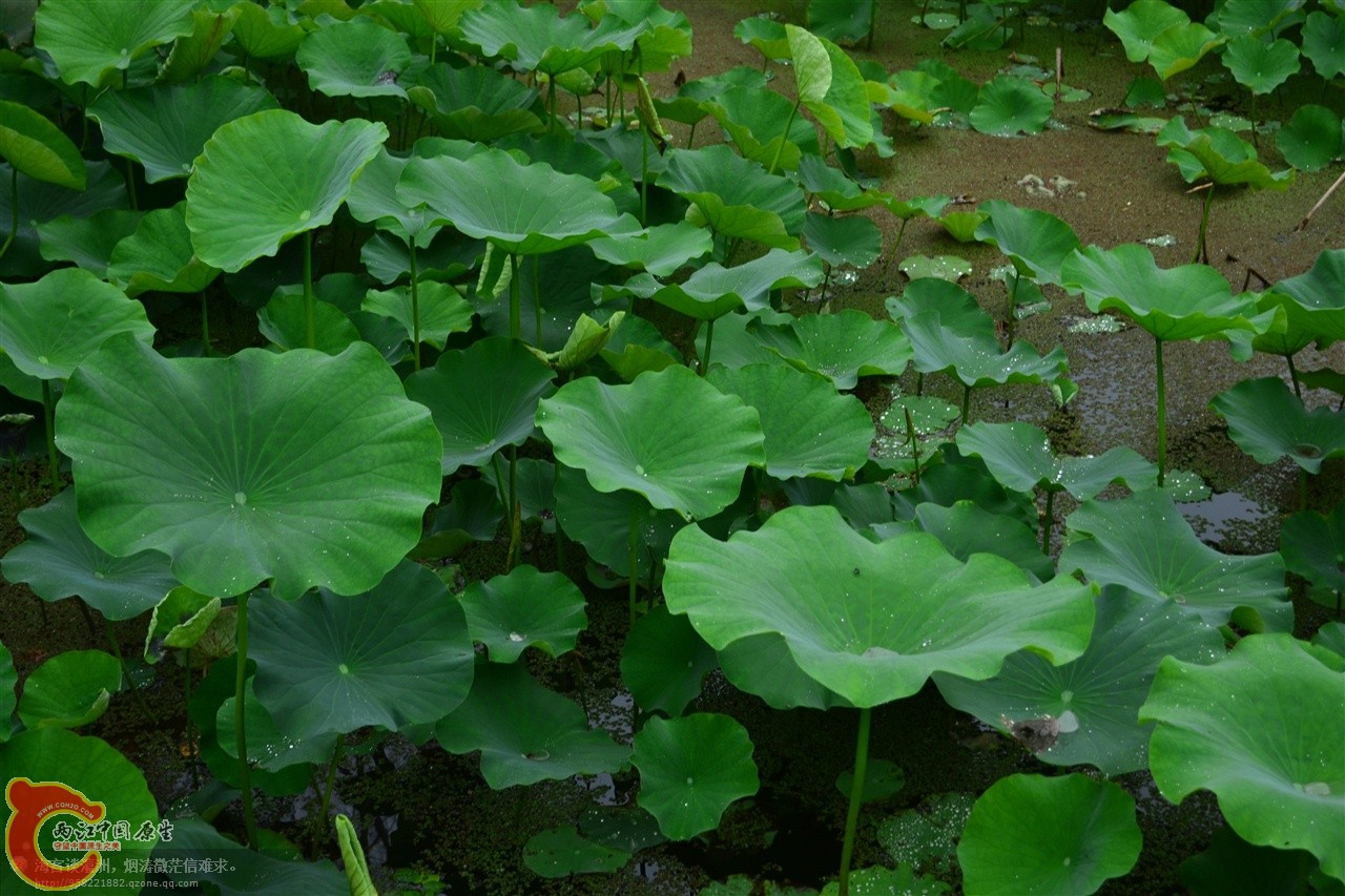 201106062915.jpg