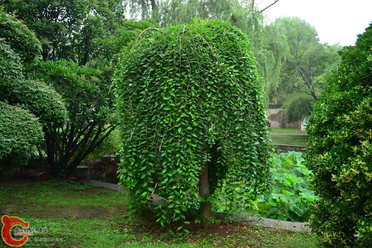 201106062918.jpg