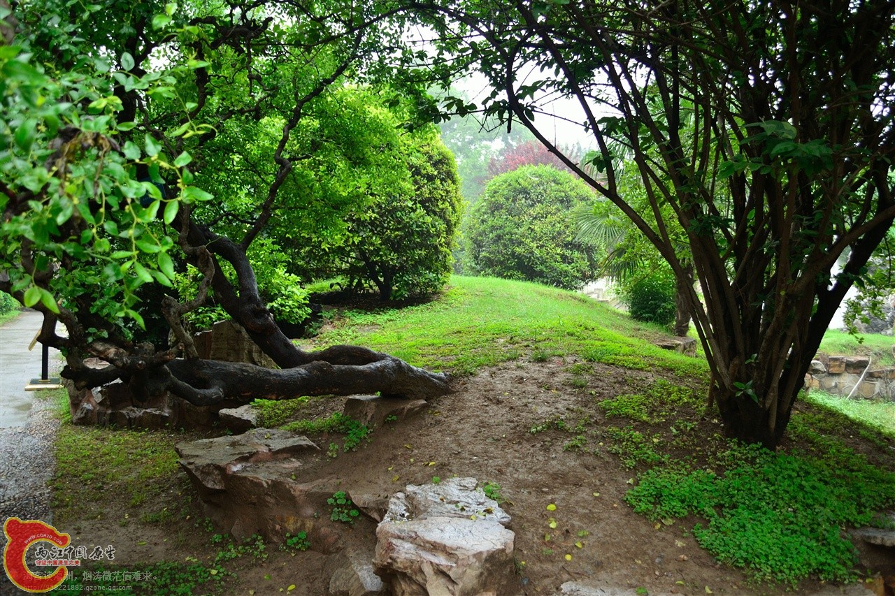 201106062921.jpg