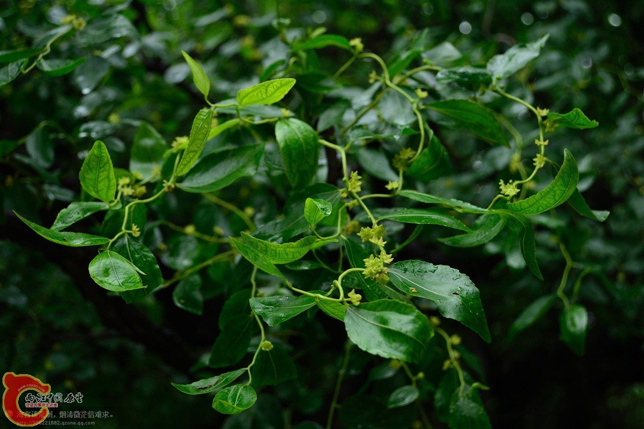 201106062923.jpg