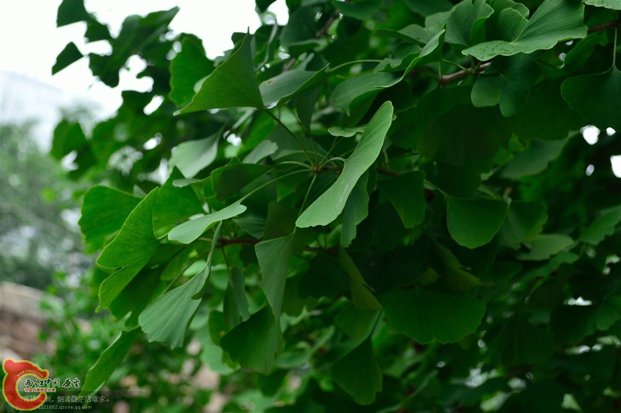 201106062926.jpg