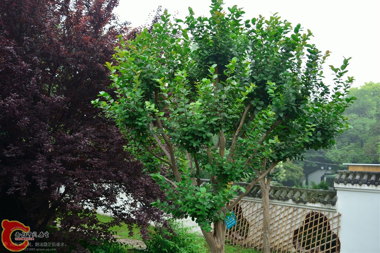 201106062932.jpg