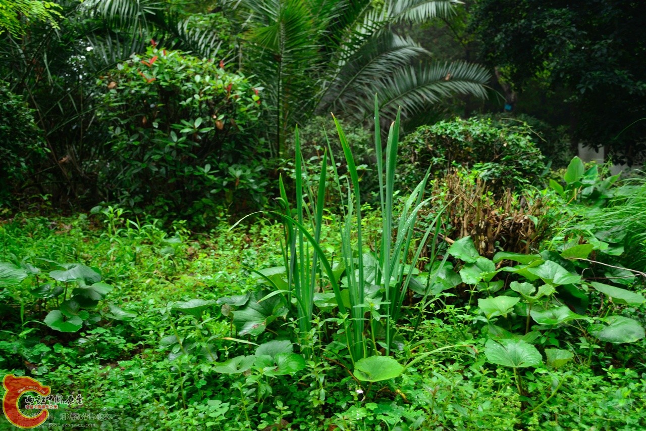 201106062941.jpg