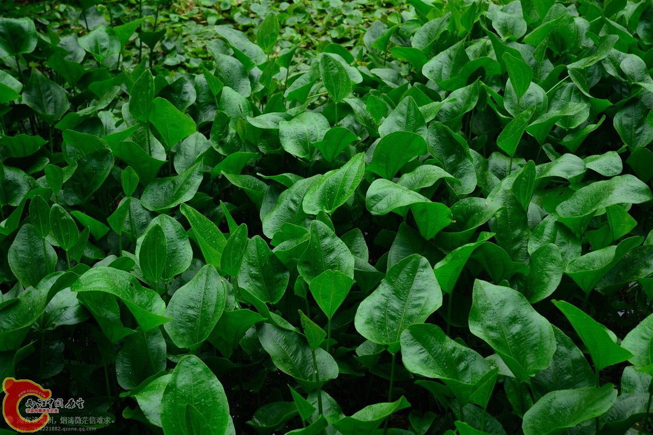 201106062959.jpg