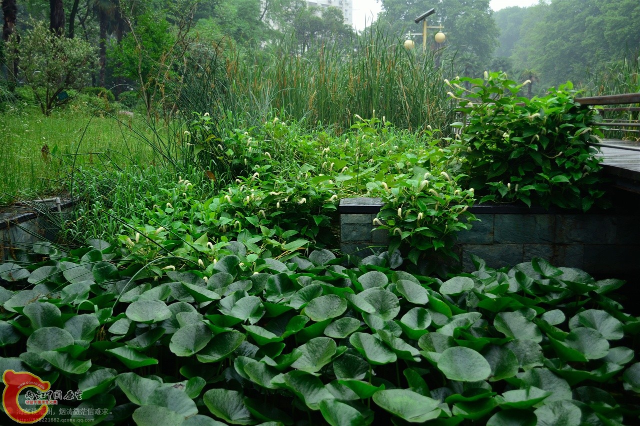 201106062963.jpg