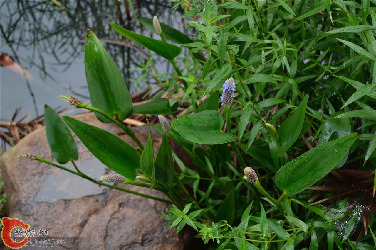 201106062982.jpg