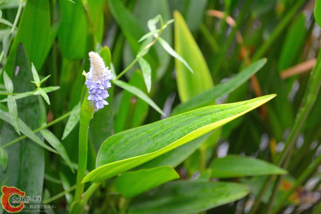 201106062986.jpg