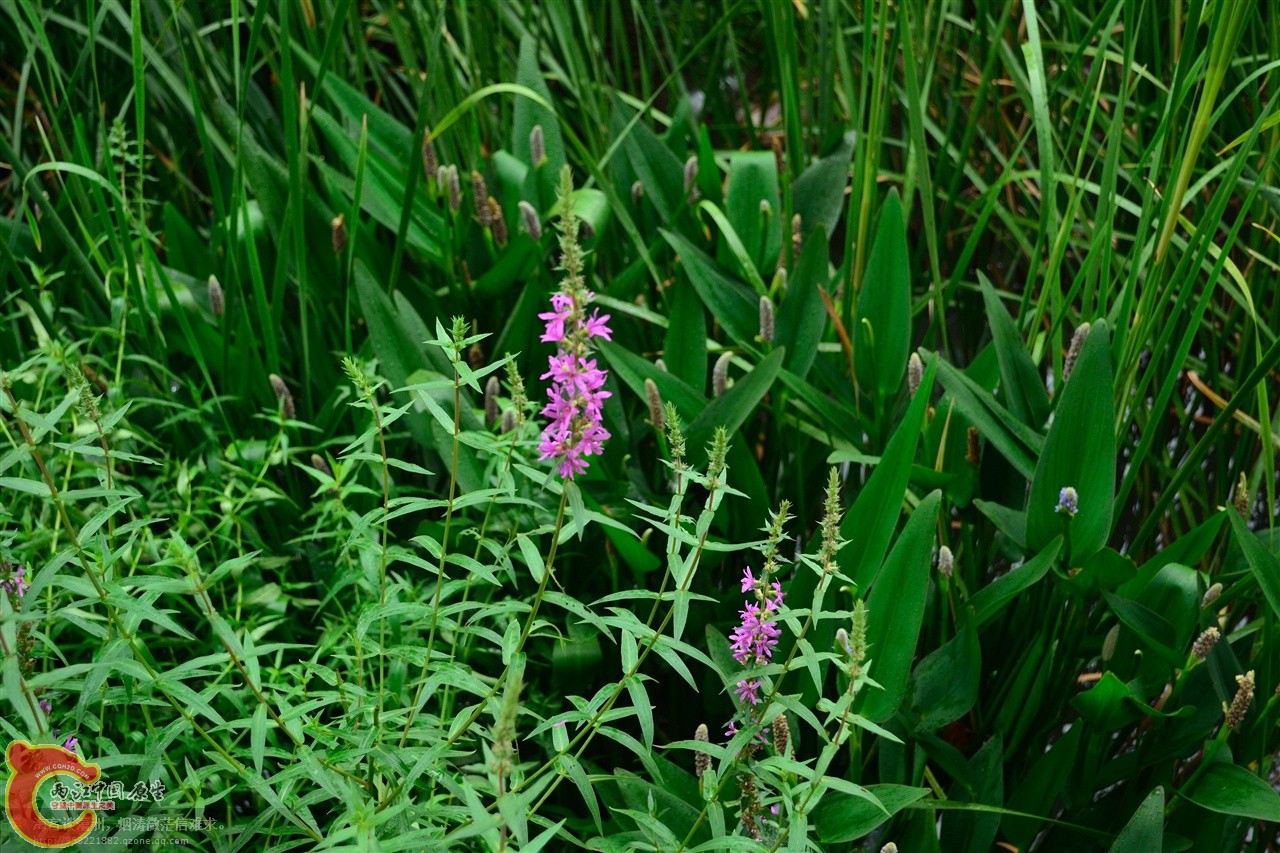 201106062988.jpg