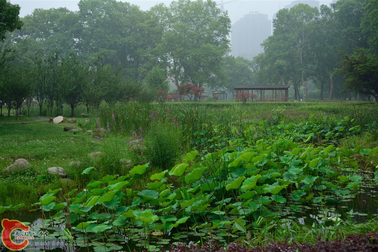201106062993.jpg