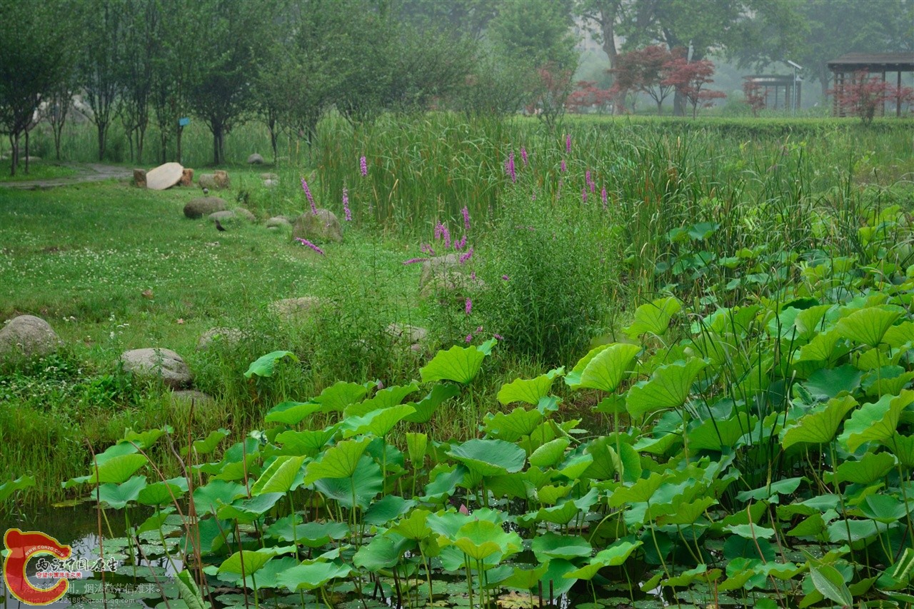 201106062995.jpg