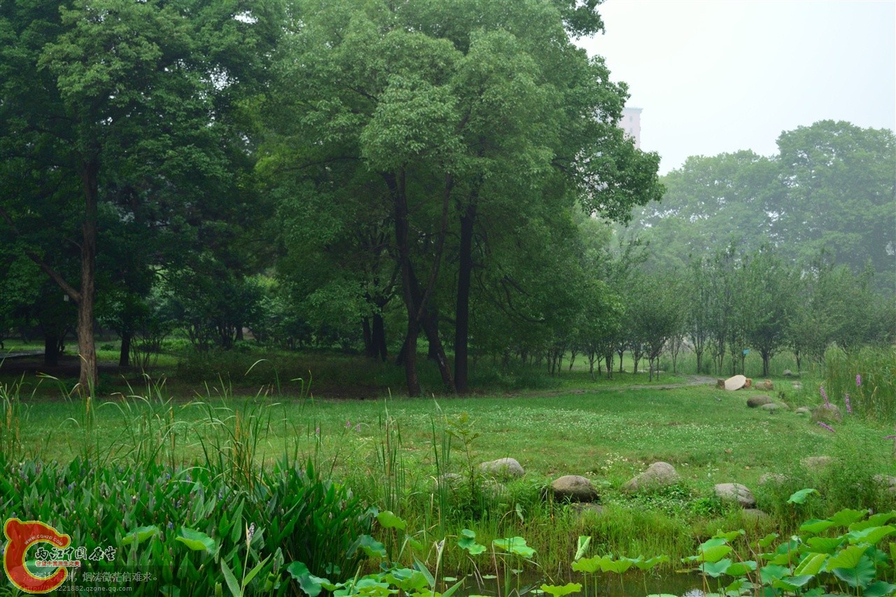 201106062998.jpg