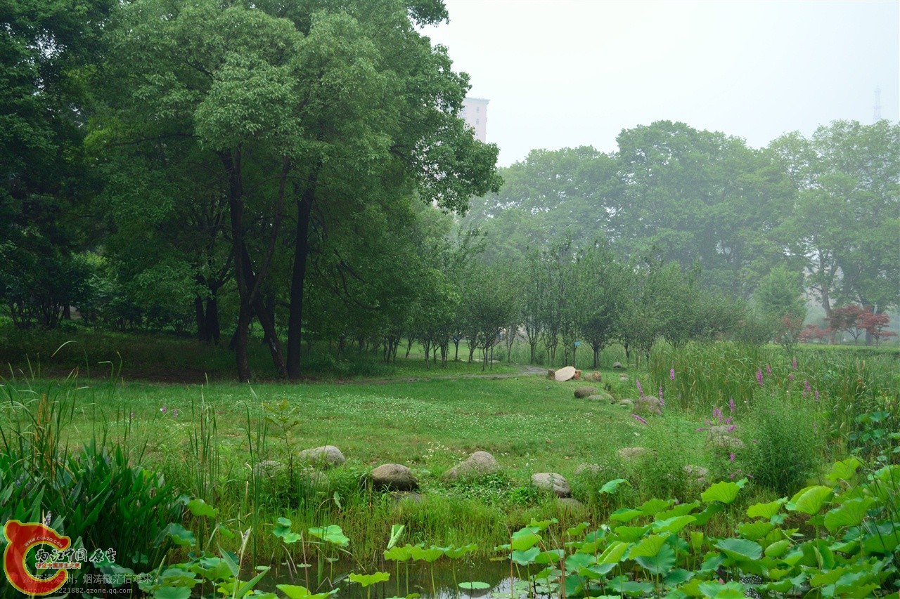 201106063002.jpg