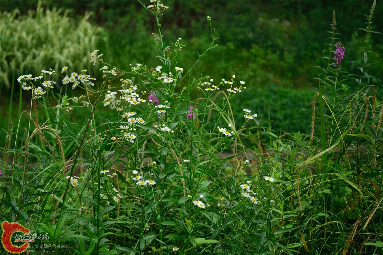 201106063005.jpg