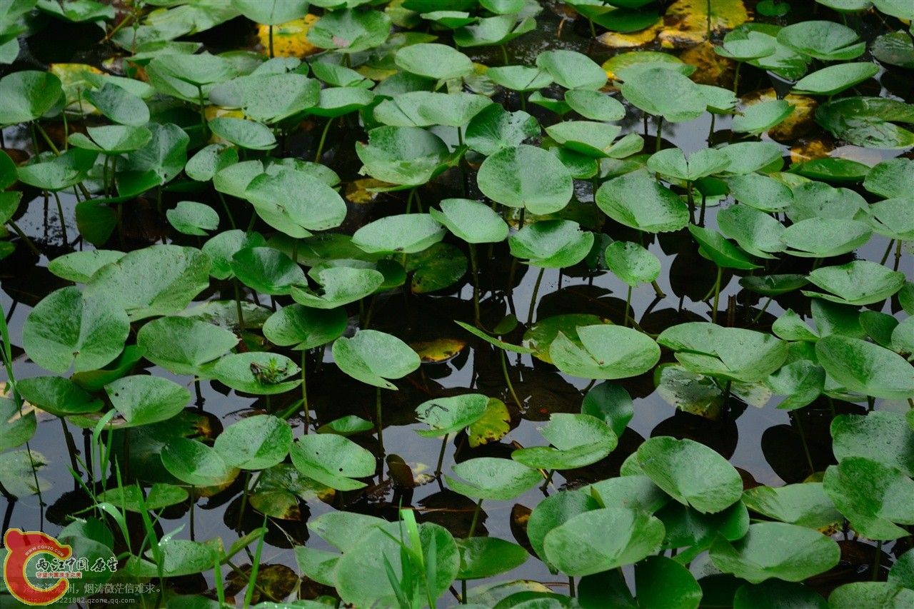 201106063010.jpg