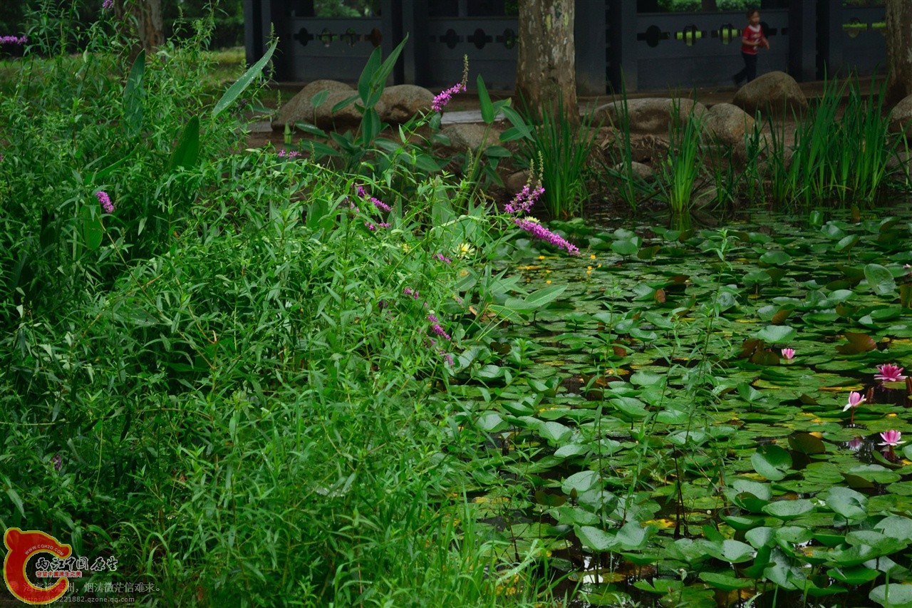 201106063011.jpg