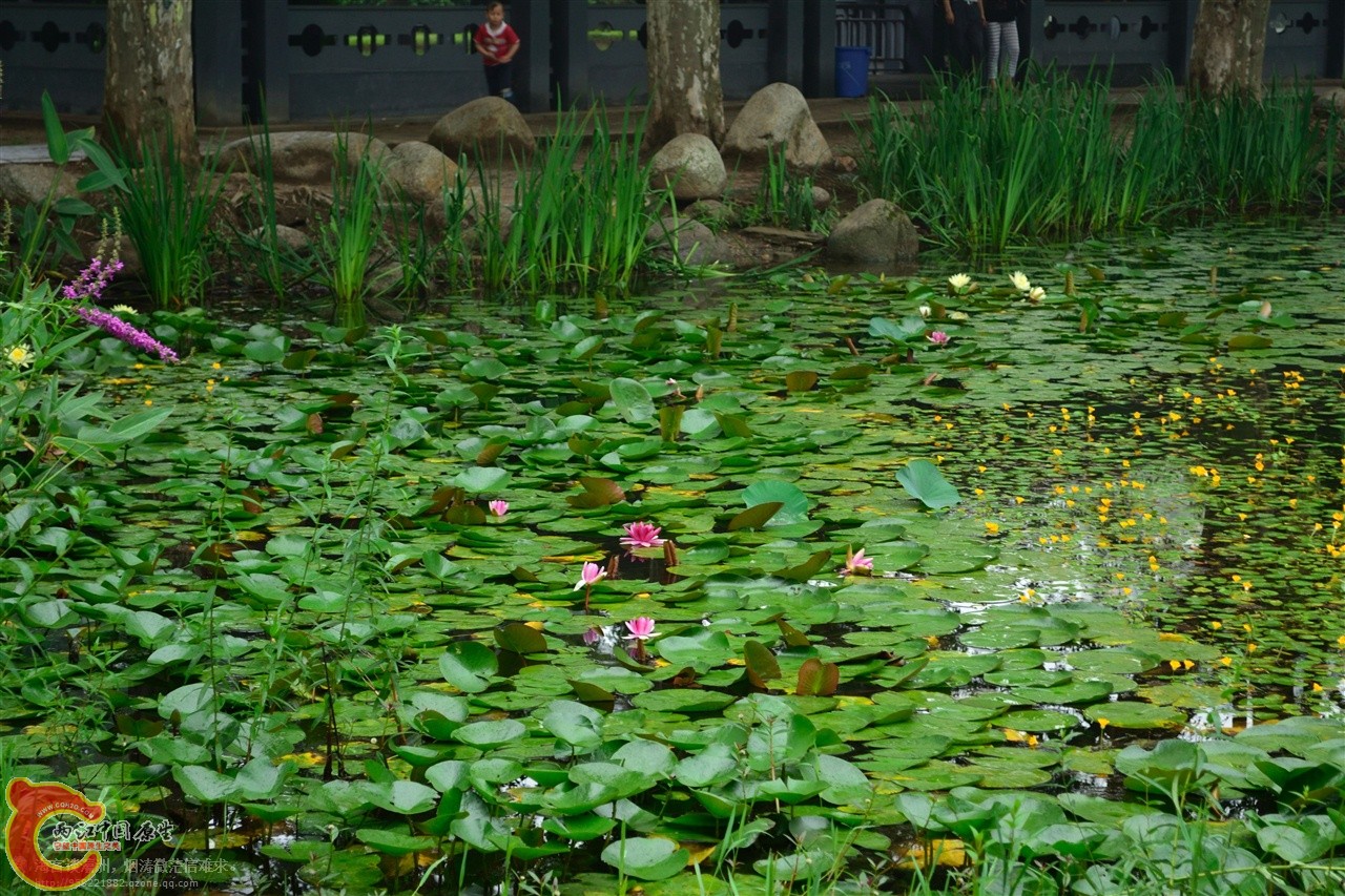 201106063012.jpg