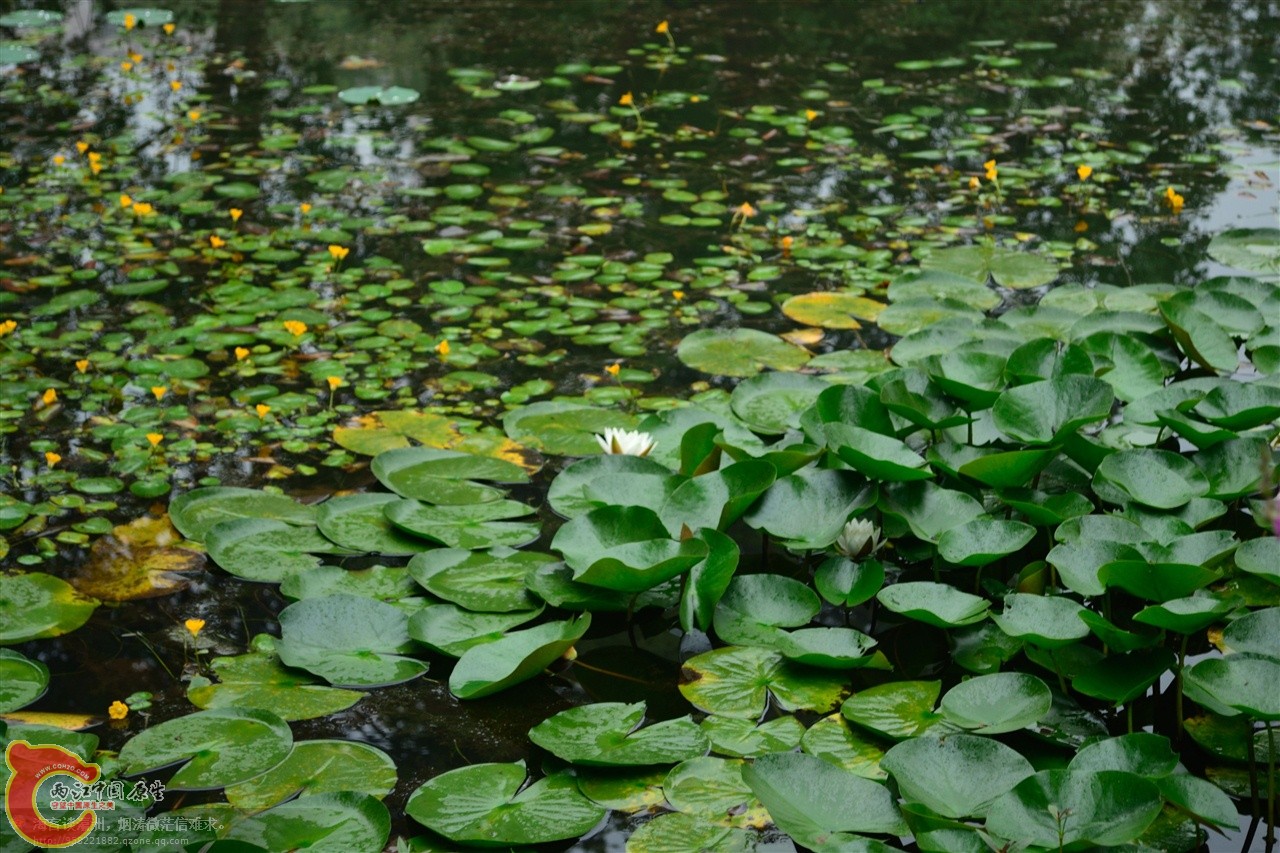 201106063020.jpg