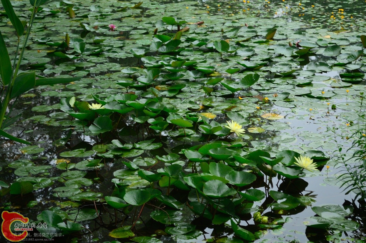 201106063022.jpg