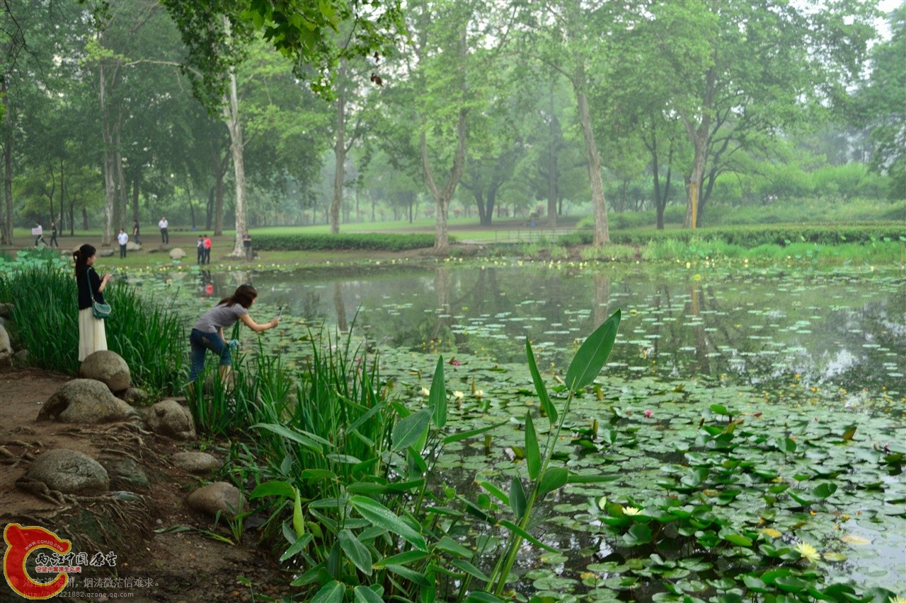 201106063023.jpg