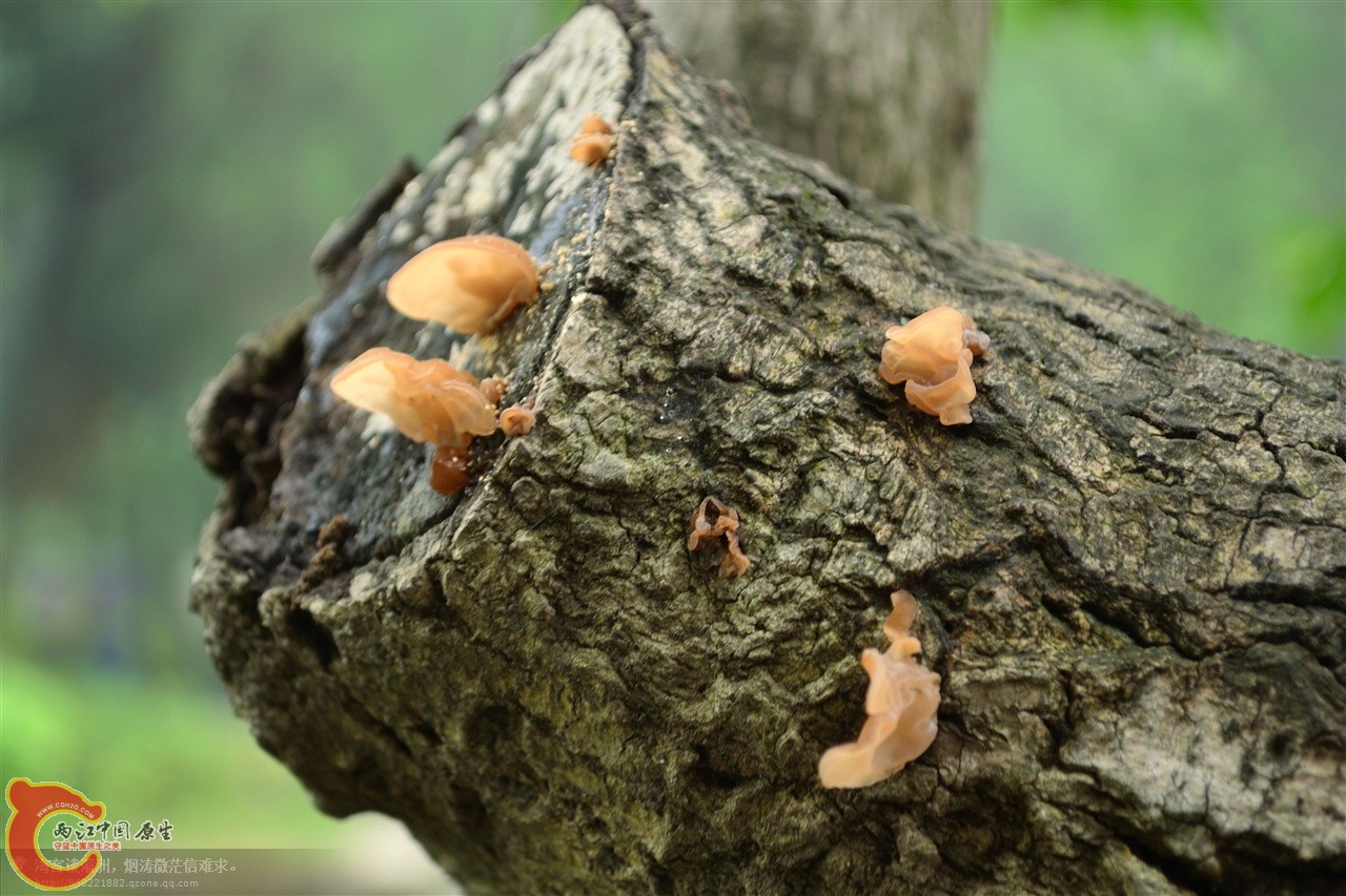 201106063025.jpg