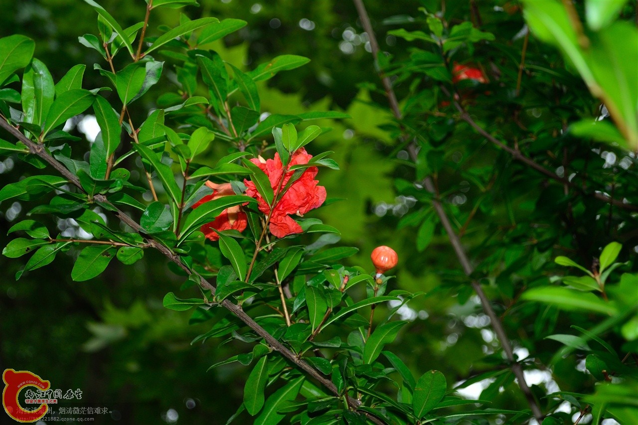 201106063034.jpg