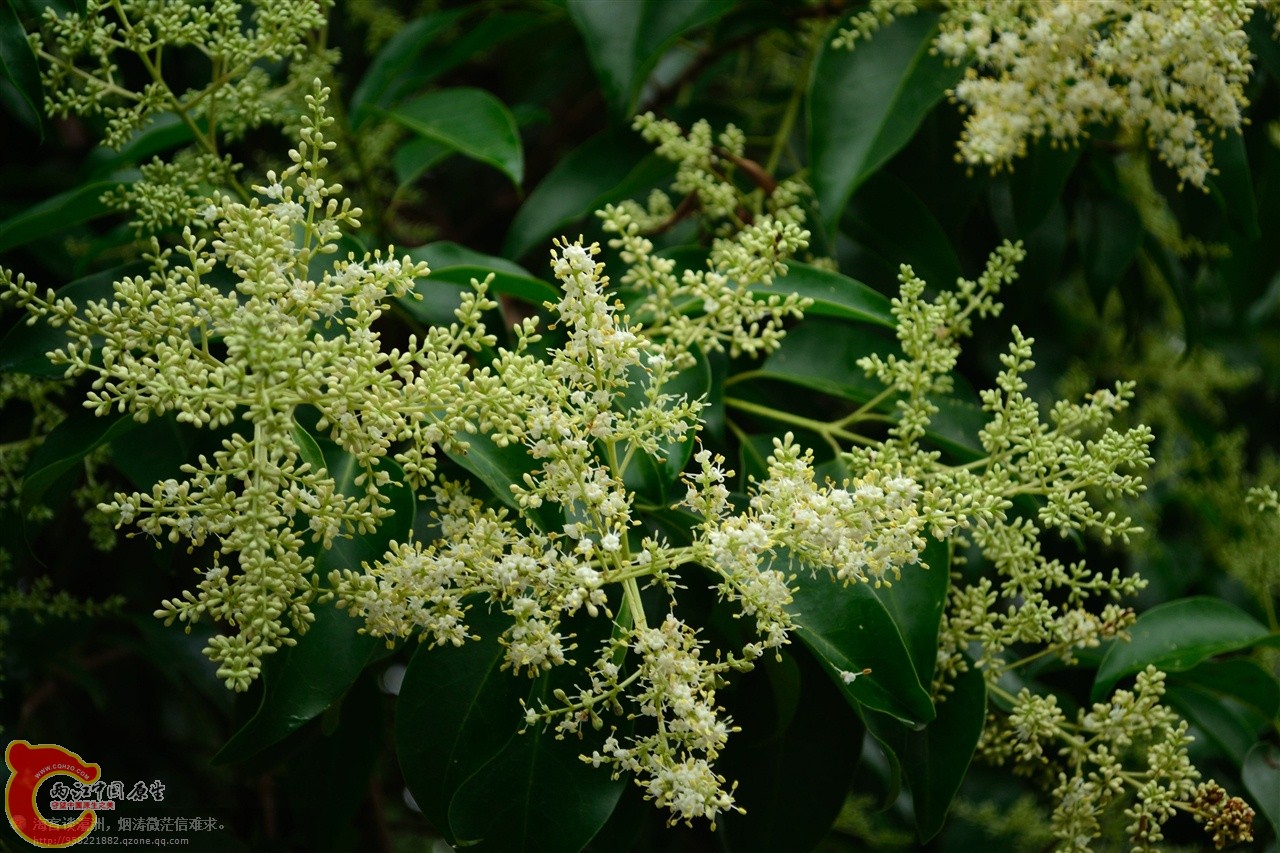 201106063041.jpg