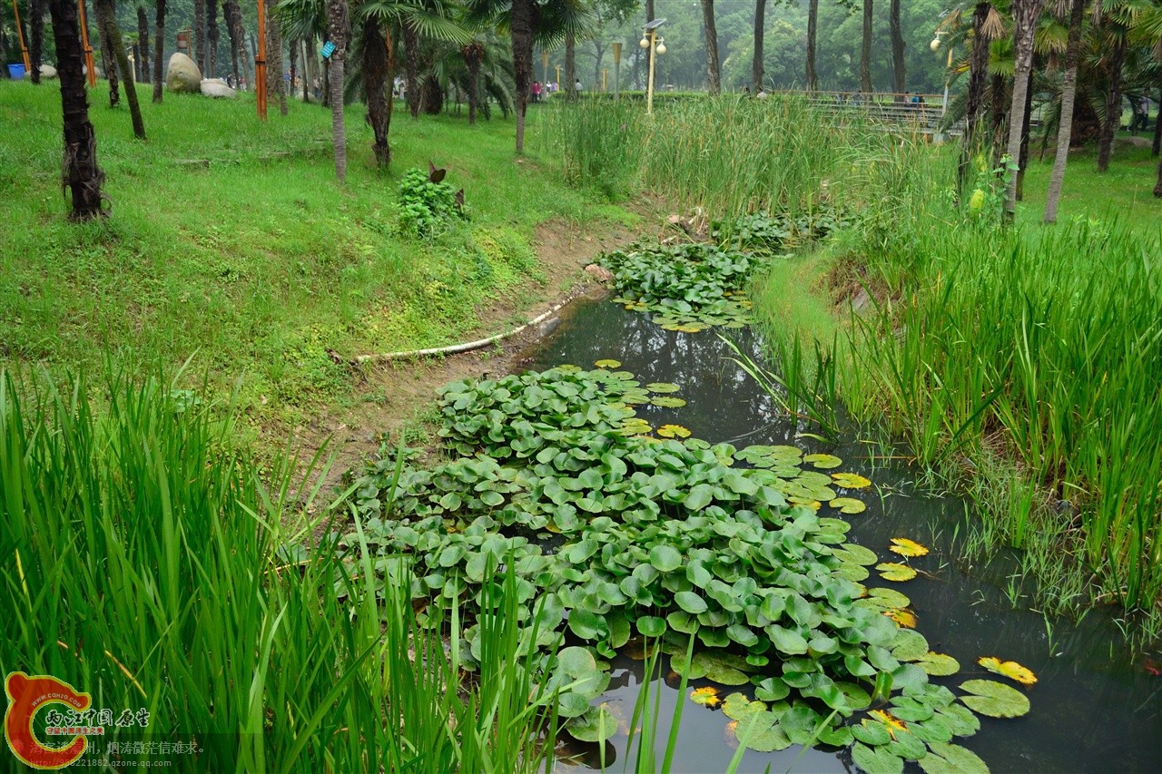 201106063065.jpg
